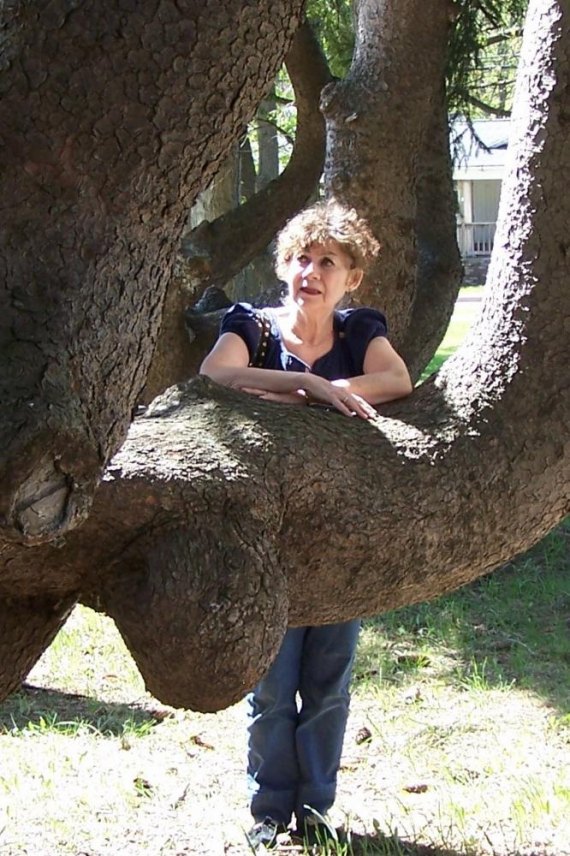 INTRODUCING SHELLY REUBEN’S NEW NOVEL:  My Mostly Happy Life – Autobiography of a Climbing tree 